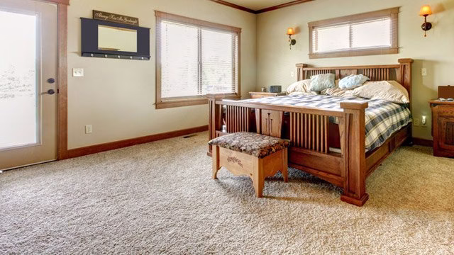 223039 one of a kind custom carpet cleaning