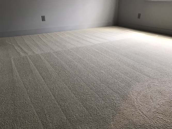 223060 eco cleaning service llc