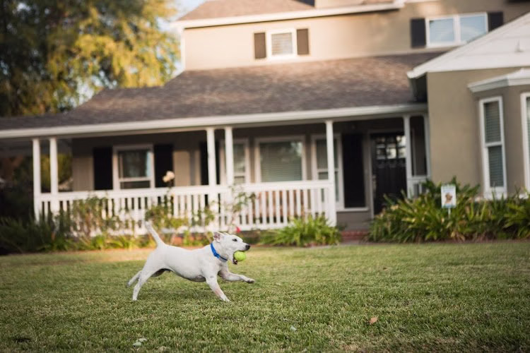 223574 invisible fence of huntsville north alabama