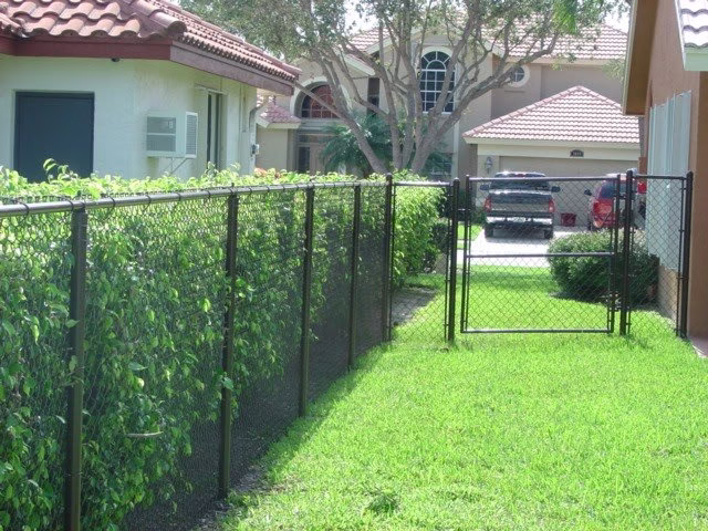 223914 absolute fence