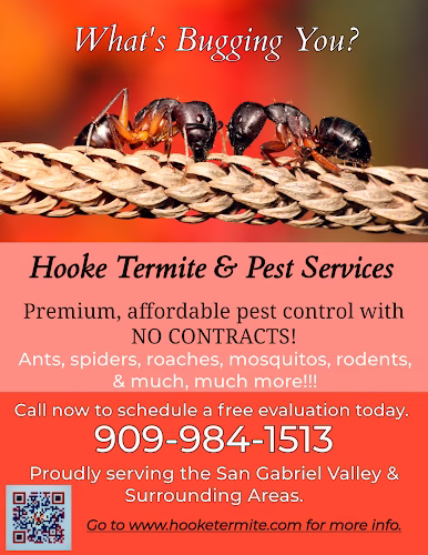 224408 hooke termite pest services