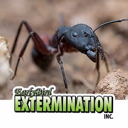224412 earlybird extermination inc