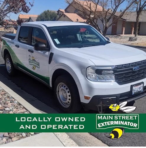 224452 main street exterminator