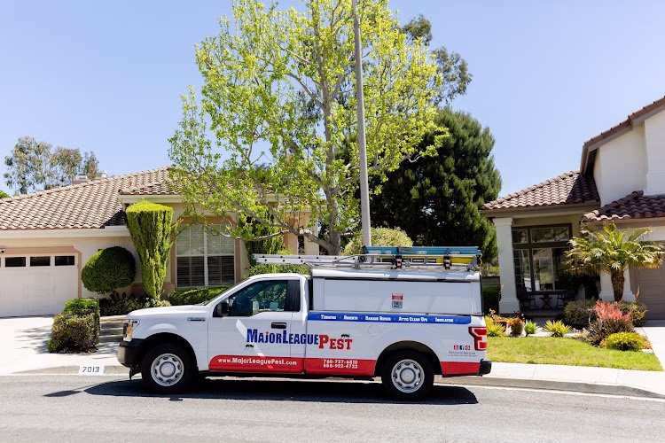 224462 major league pest