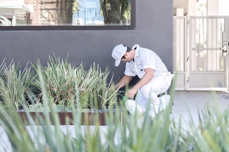 224468 allswell here