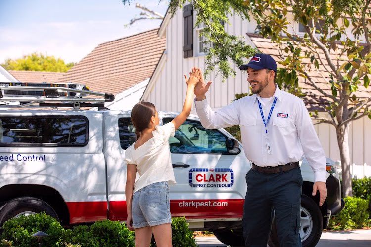 224478 clark pest control 2