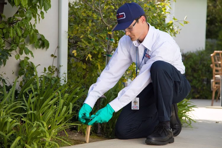 224478 clark pest control