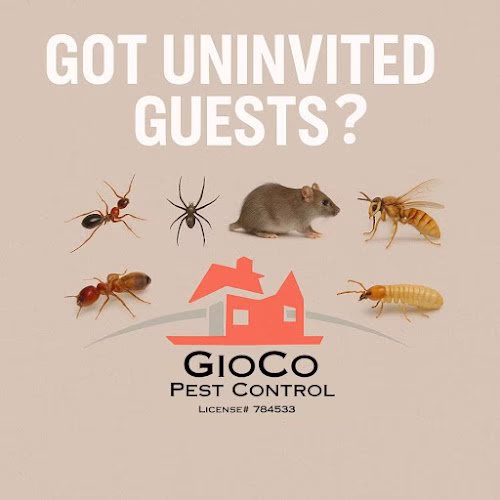 224504 gioco termite pest control