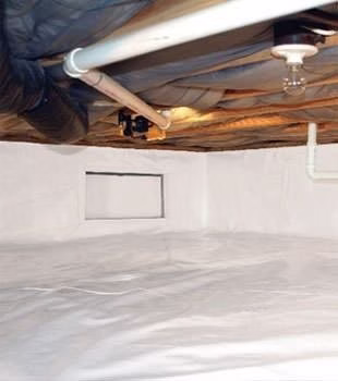 224506 clean crawlspace inc