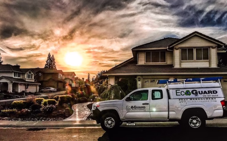 224539 ecoguard pest management 1 768x478