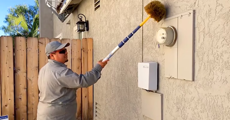 224545 corkys pest control 768x402