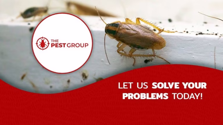 224601 the pest group 768x432
