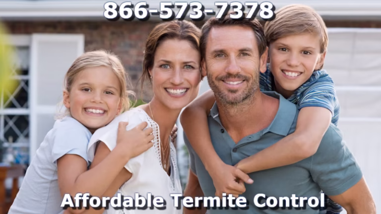 224633 affordable termite control in huntington beach 768x432