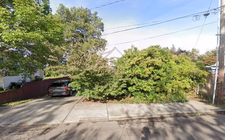 224656 new day pest 768x480