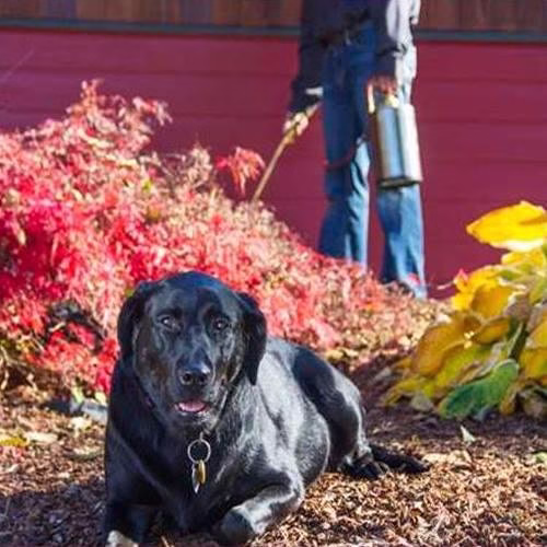 224664 wildwoods pest control crawl space solutions