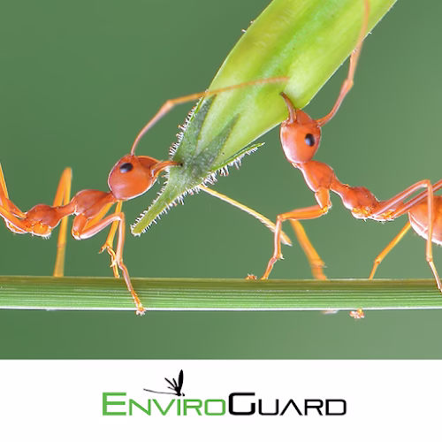 224675 enviroguard pest control
