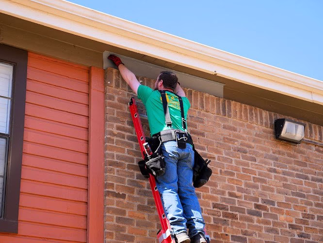 224752 all pest solutions