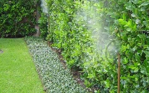 224759 garys services inc