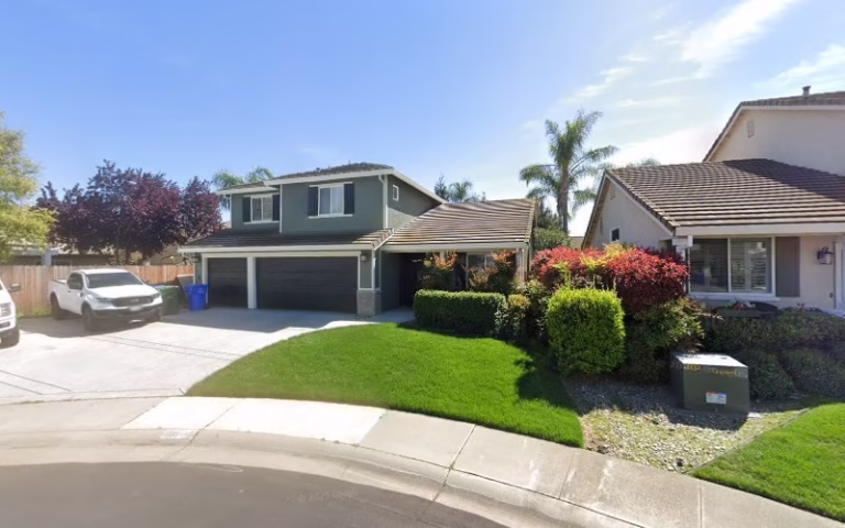 224785 all clear pest control 768x480