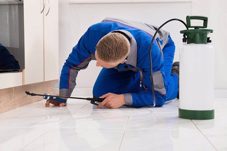 224849 pro emergency pest control services
