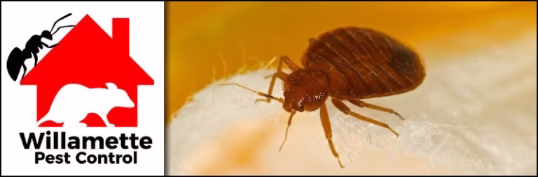 224901 willamette pest control 768x254