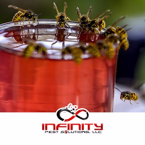 224935 infinity pest solutions