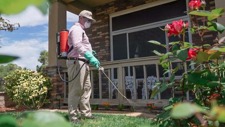 224966 pink xterminators inc 768x432