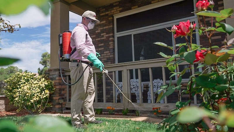 224966 pink xterminators inc