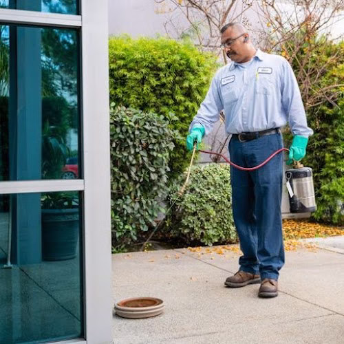 224968 compass pest management