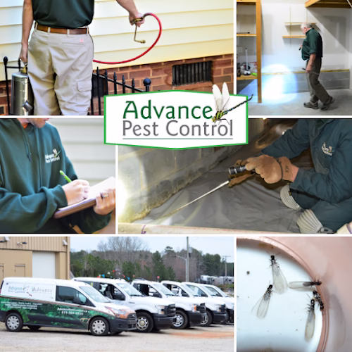 225068 advance pest control