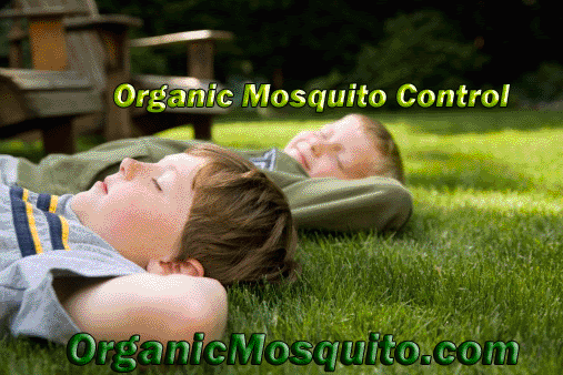 225093 organic mosquito services