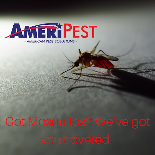 225145 ameripest solutions 8211 springfield