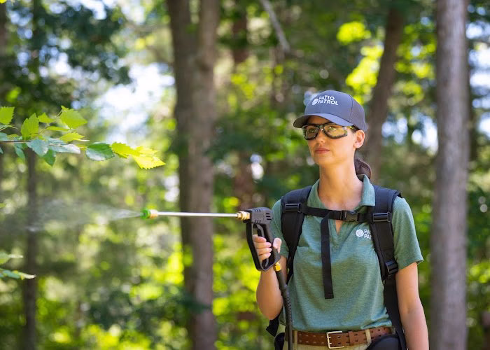 225162 patio patrol springfield