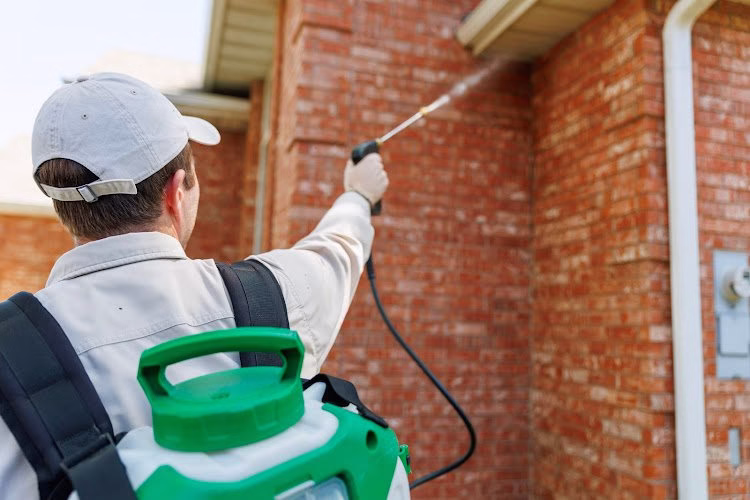 225166 powell pest and lawn