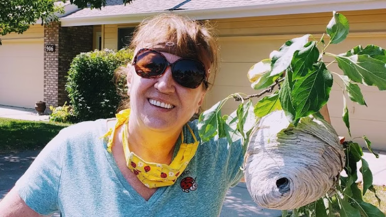 225189 pams pest control service 768x432