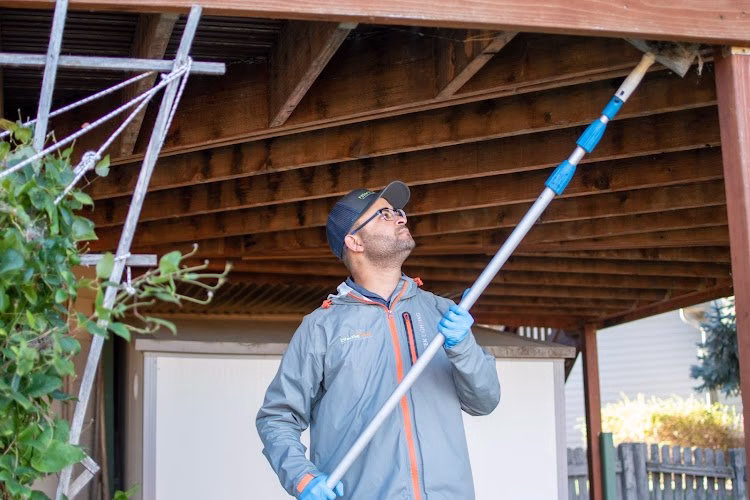 225198 effective pest services