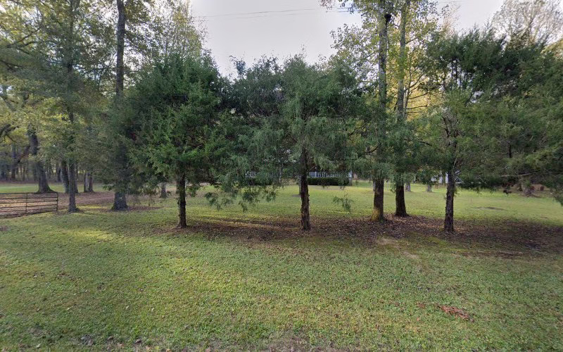 225215 central ms termite pest control 1