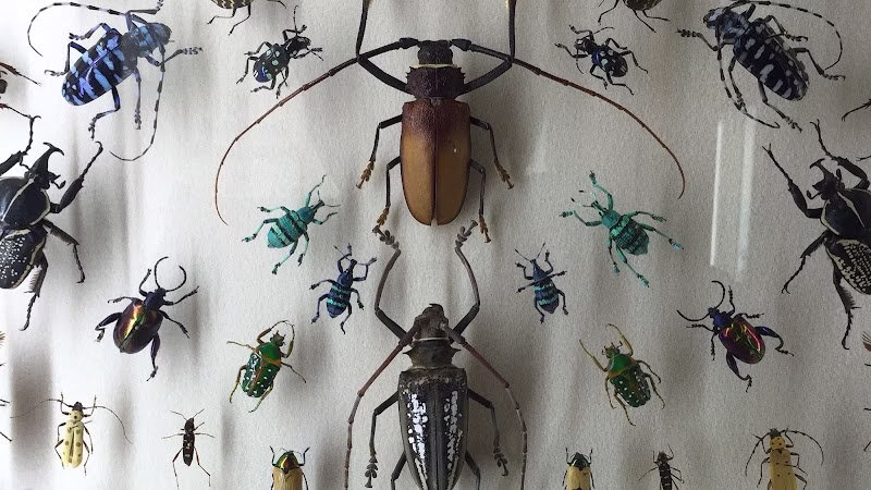 225243 dependable pest service