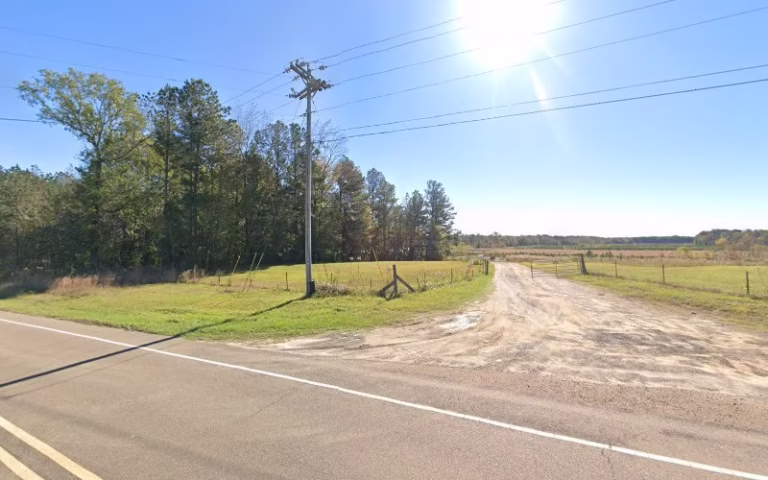 225251 family termite and environmental 768x480