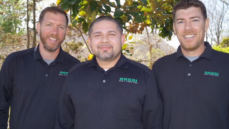 225269 rossi pest services 768x432