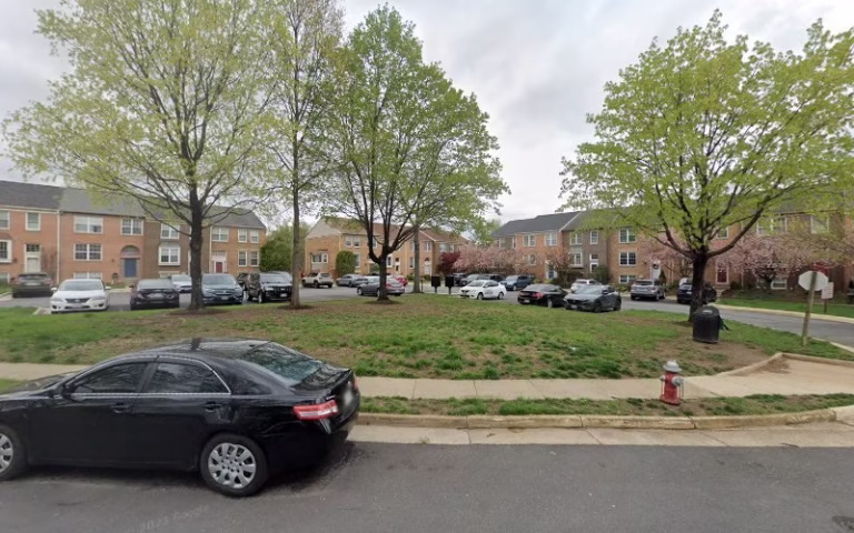 225277 senate termite and pest control 768x480