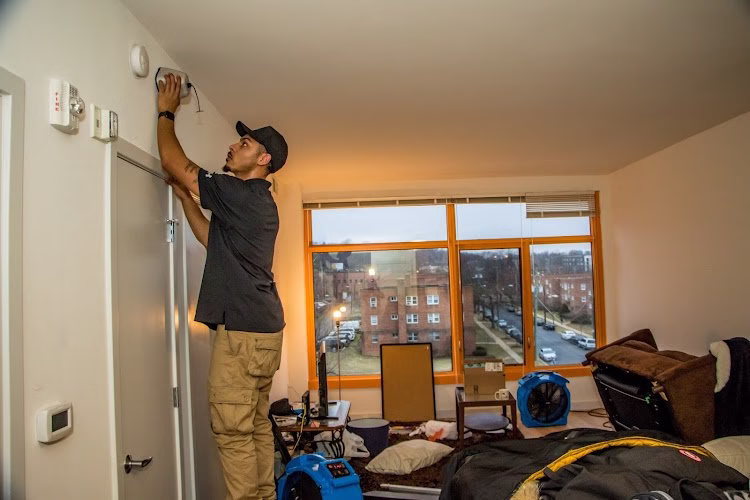 225282 eco bed bug exterminators va