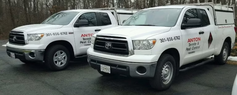 225293 anton termite pest control llc 768x308