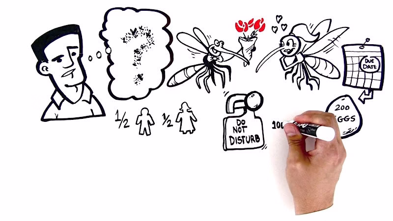 225295 mosquito shield of northern virginia