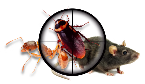 225297 primax pest control