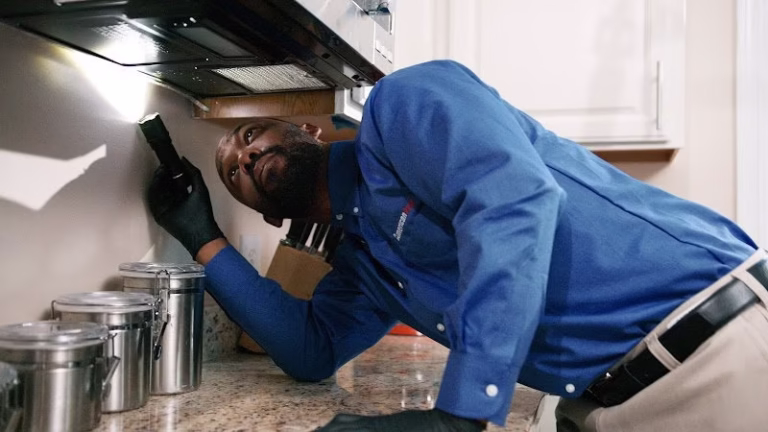 225301 american pest 768x432