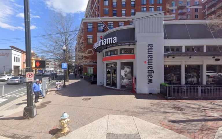 225304 ork pest control 768x480