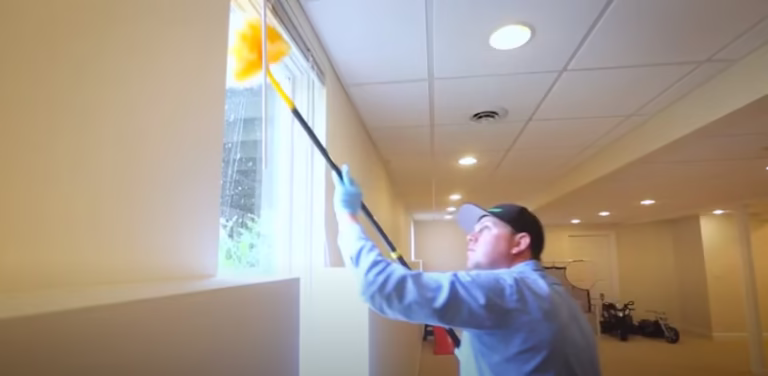 225326 ecoshield pest solutions 768x376