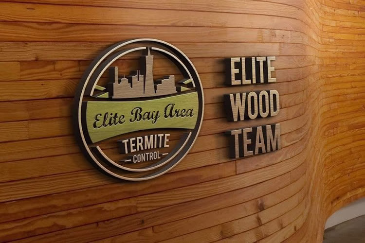 225346 elite bay area termite control