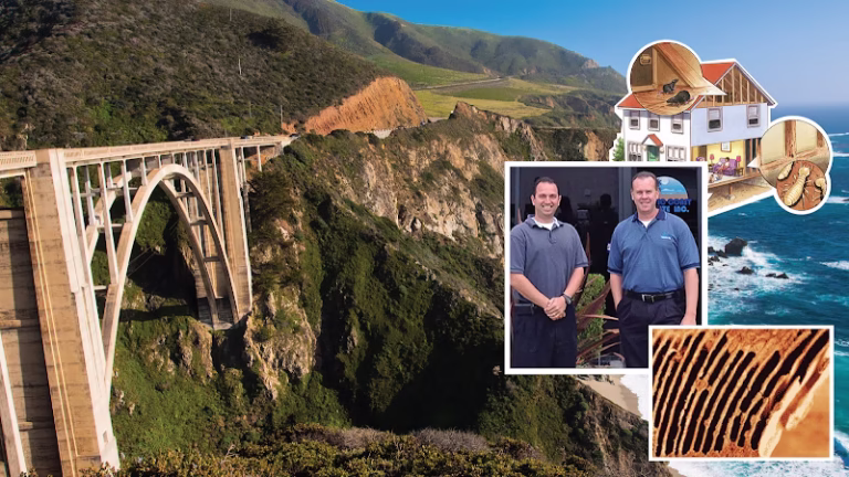 225359 pacific coast termite inc 768x432